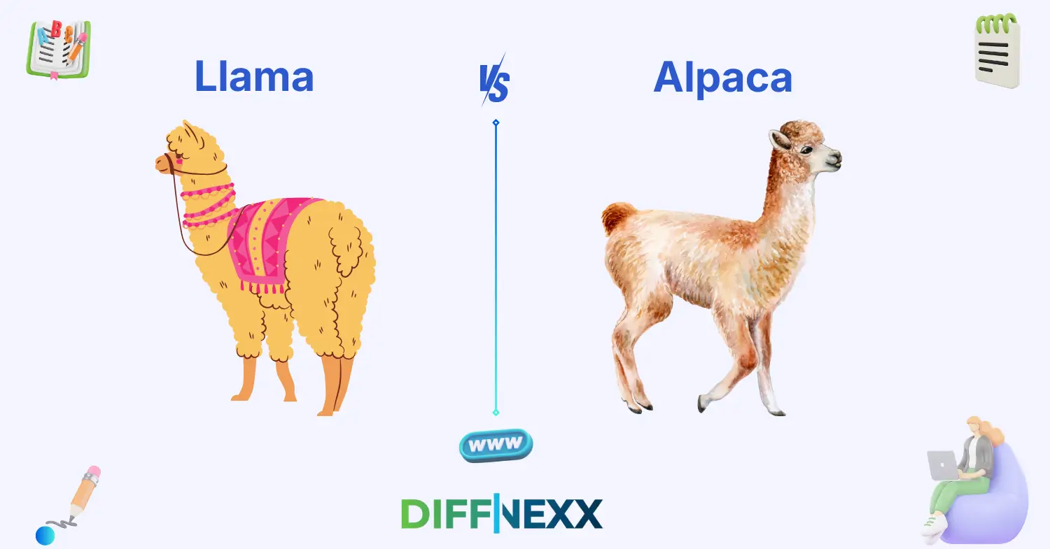difference between llama and alpaca