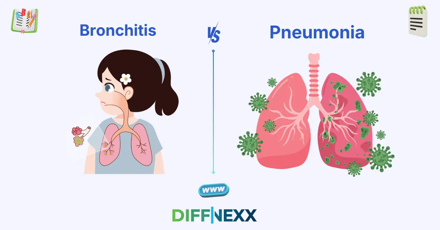difference between bronchitis and pneumonia