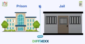 difference between prison and jail