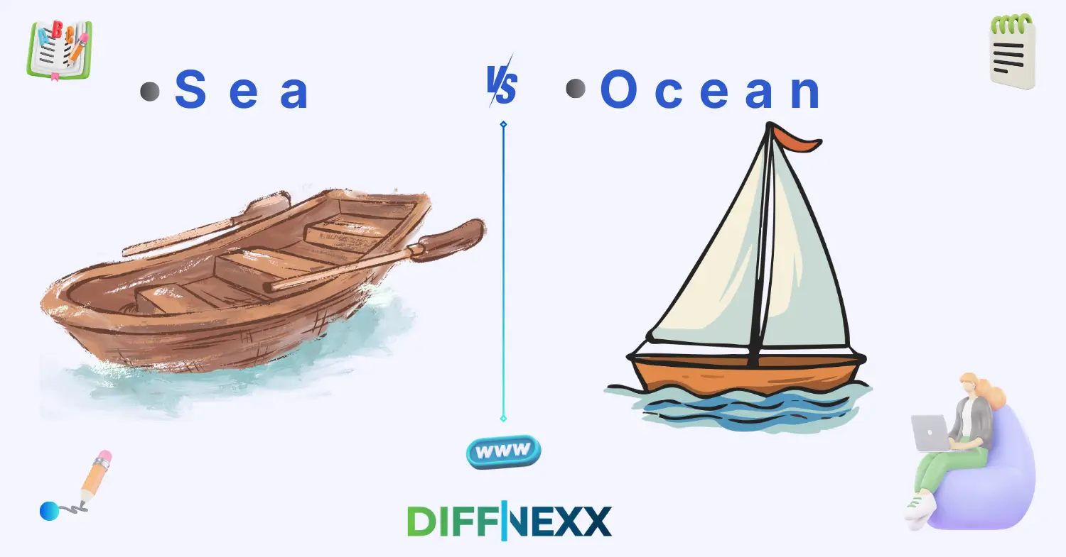 difference between sea and ocean