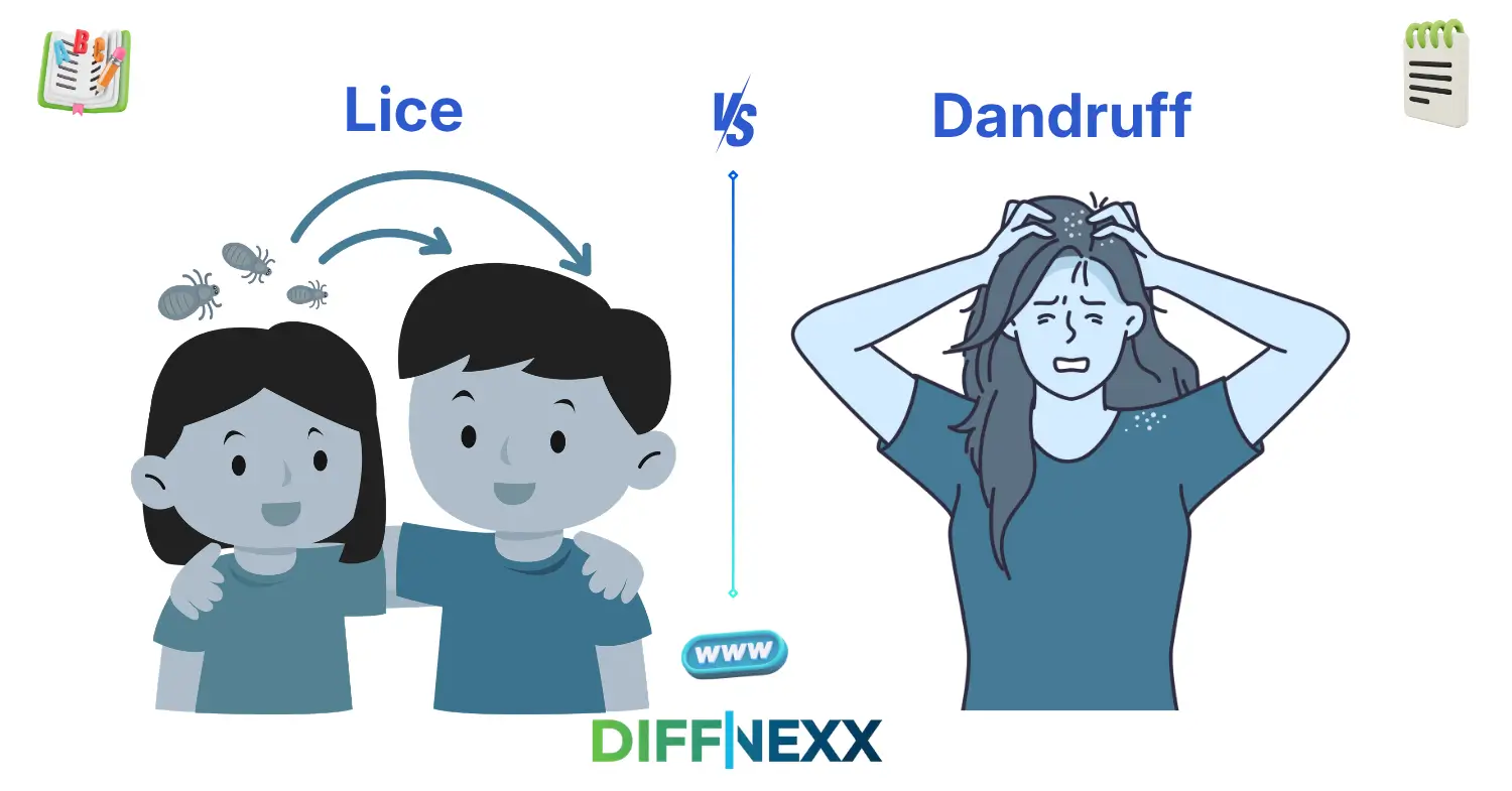 difference between lice and dandruff
