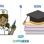 difference between rn and bsn