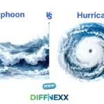 difference between typhoon and hurricane
