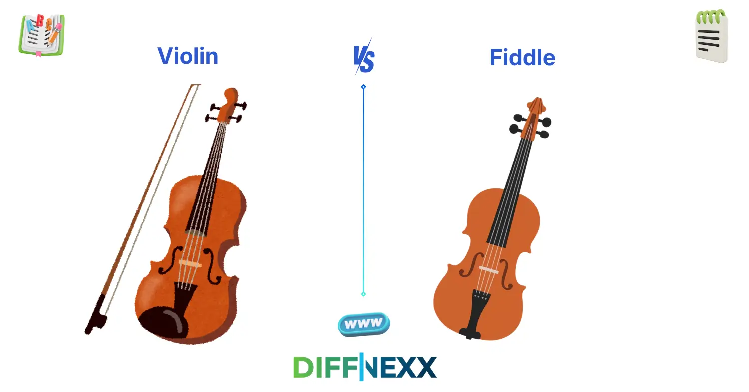 difference between violin and fiddle