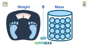 difference between weight and mass